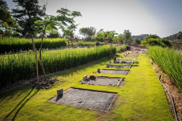 Málaga lanza primer cementerio público para mascotas
