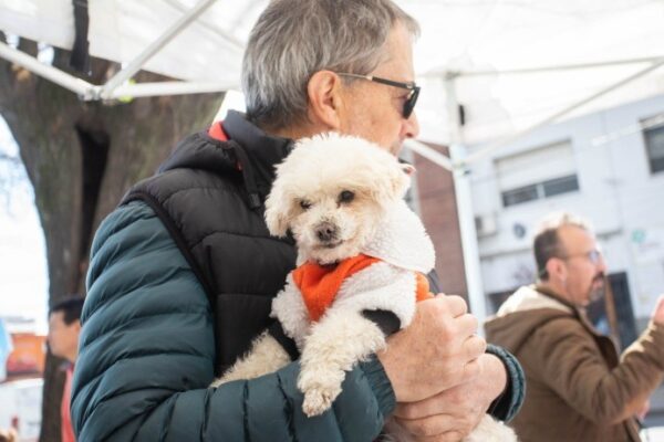Castración gratuita de mascotas en Remedios de Escalada