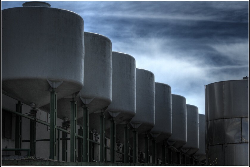 Aceite de oliva español enfrenta crisis: 75% de producción en pérdidas