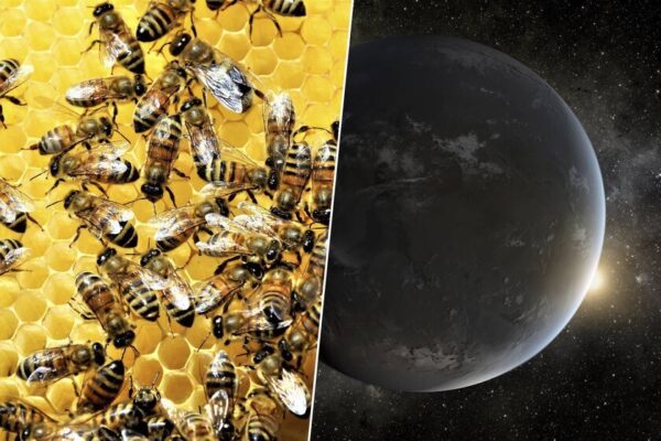 En 2040, un enjambre de telescopios buscará vida en otros planetas