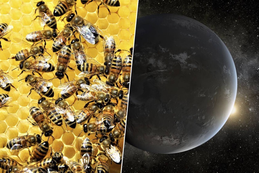 En 2040, un enjambre de telescopios buscará vida en otros planetas
