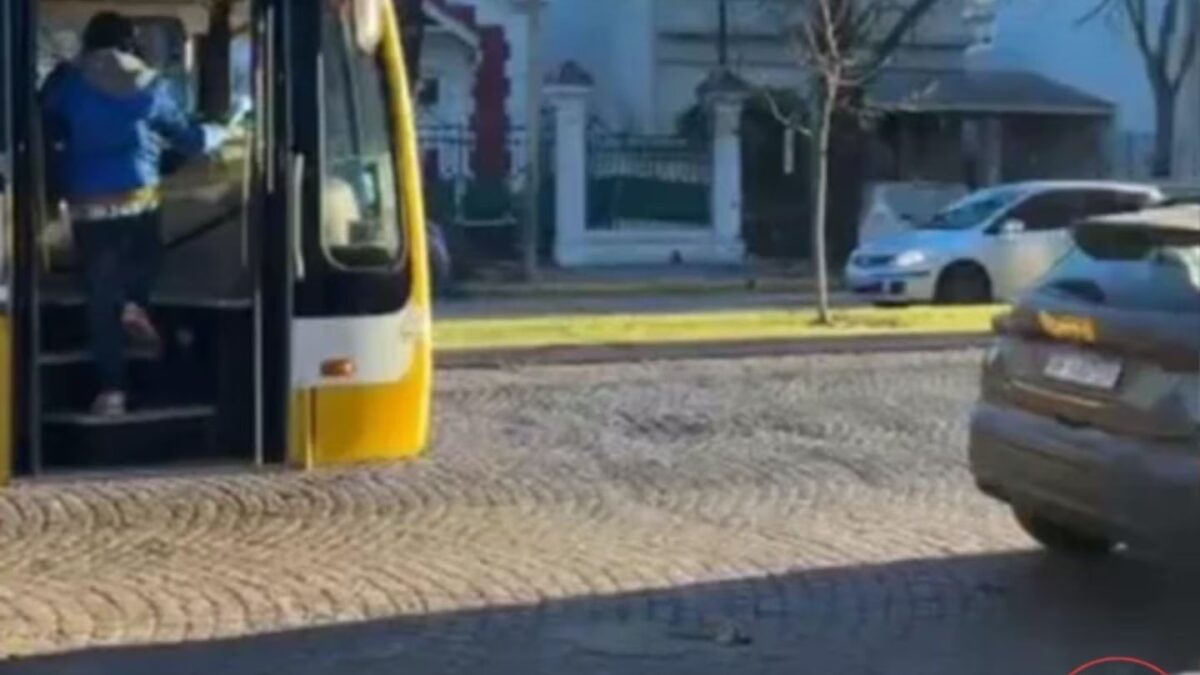 Furia en La Plata: Chofer y pasajero terminaron en pelea por valor del boleto