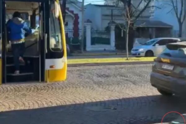 Furia en La Plata: Chofer y pasajero terminaron en pelea por valor del boleto