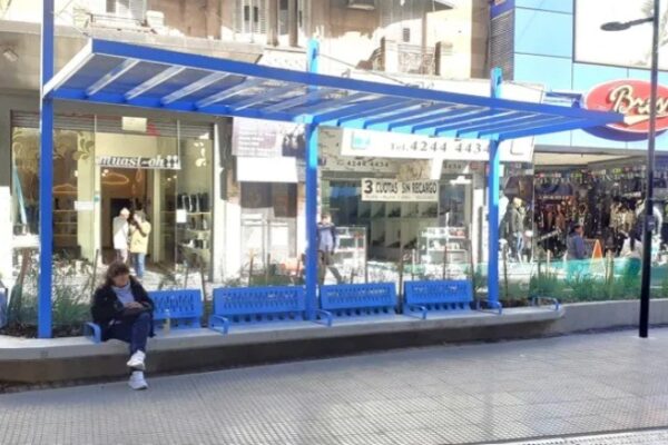 Remodelación de la peatonal Laprida avanza al 70% de su ejecución