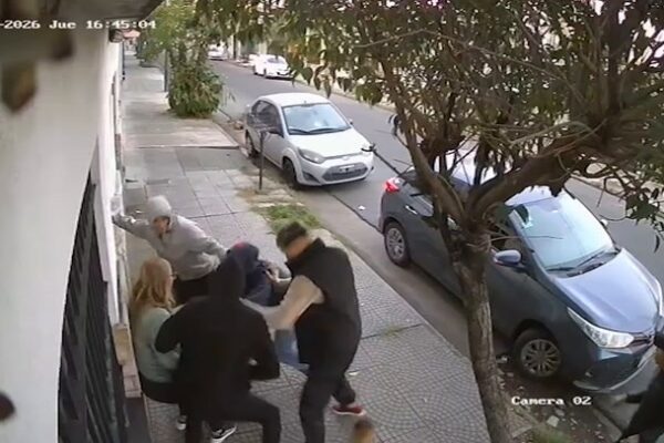 Cinco delincuentes robaron auto en 10 segundos durante paseo con perro