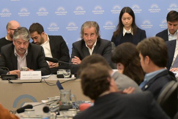 Tenso cruce entre Bertie Benegas Lynch y Juan Grabois en comisión de Diputados