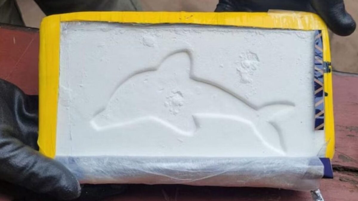 Detuvieron a dos mujeres con 22 kg de cocaína en envoltura de mostaza en Córdoba