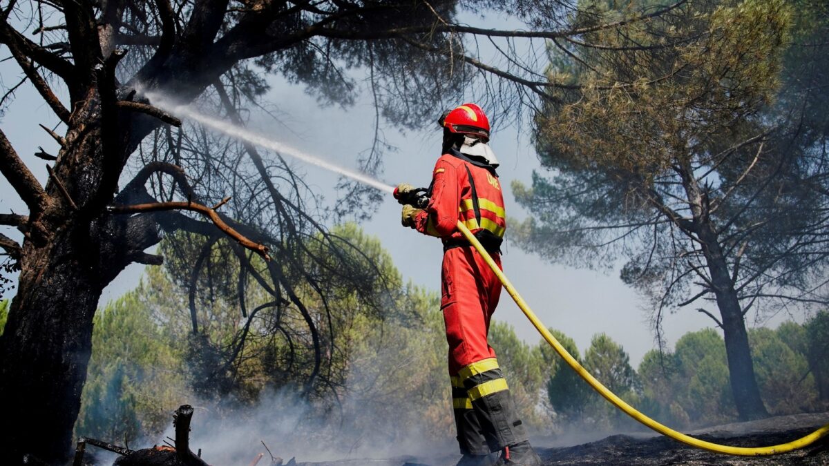 España enfrenta el mayor incendio forestal de su historia reciente