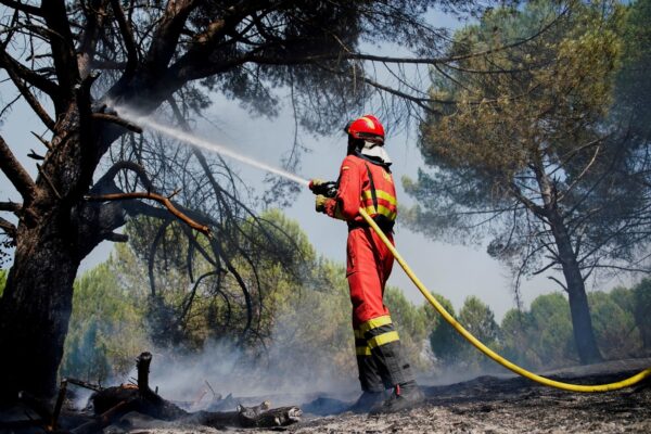 España enfrenta el mayor incendio forestal de su historia reciente