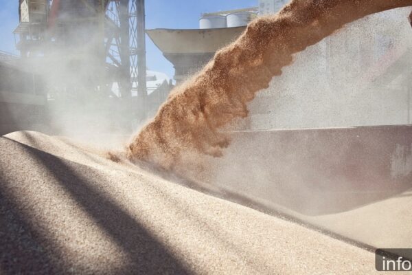 La liquidación de divisas por el agro creció 12% en junio, aunque acumula caída del 13%
