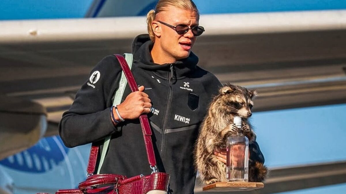 Haaland viajó a Noruega con un mapache disecado que se volvió viral