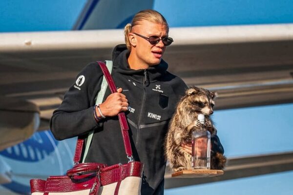 Haaland viajó a Noruega con un mapache disecado que se volvió viral