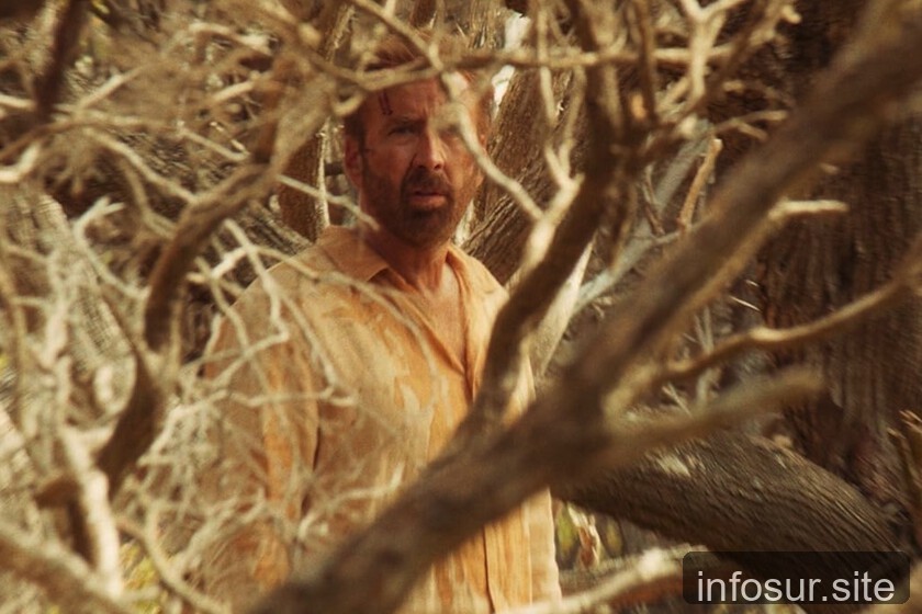 Nicolas Cage vuelve a la pantalla con una historia de acoso en la playa australiana