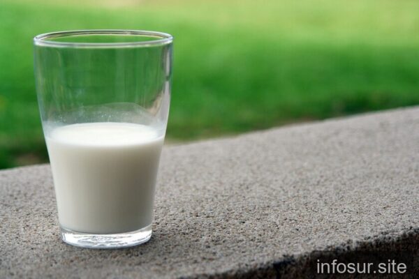 La leche no es perjudicial para adultos, afirman estudios científicos