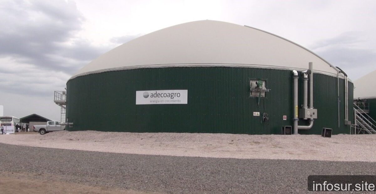 Adecoagro adquiere planta de azúcar y etanol en Mato Grosso por 148 millones