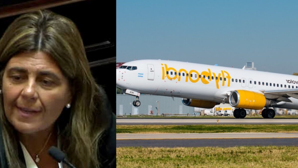 Senadora Juri solicita informes de ANAC por crisis de Flybondi