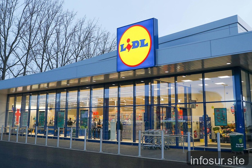 Lidl detiene compra de coches eléctricos de empresa en Alemania