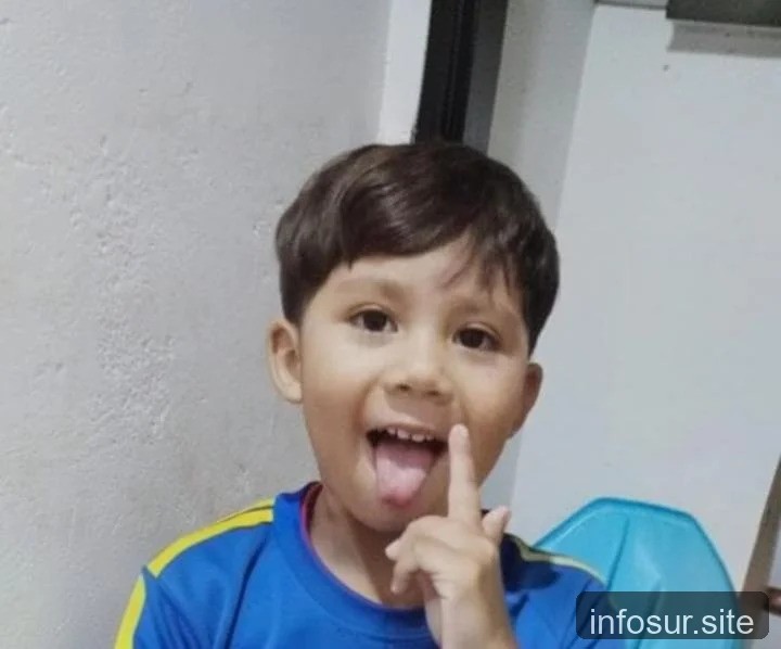 Familia busca testigos para identificar al conductor que atropelló a un nene en Temperley