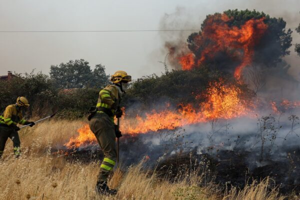 Sánchez declara emergencia tras controlar incendios en Madrid y alrededores