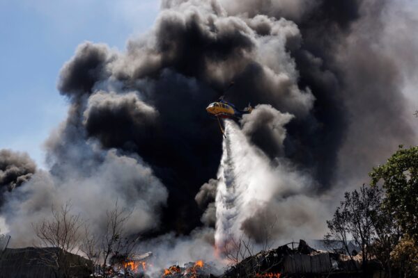 Incendios forestales destruyen bosques en Europa, arrasan 19.000 hectáreas