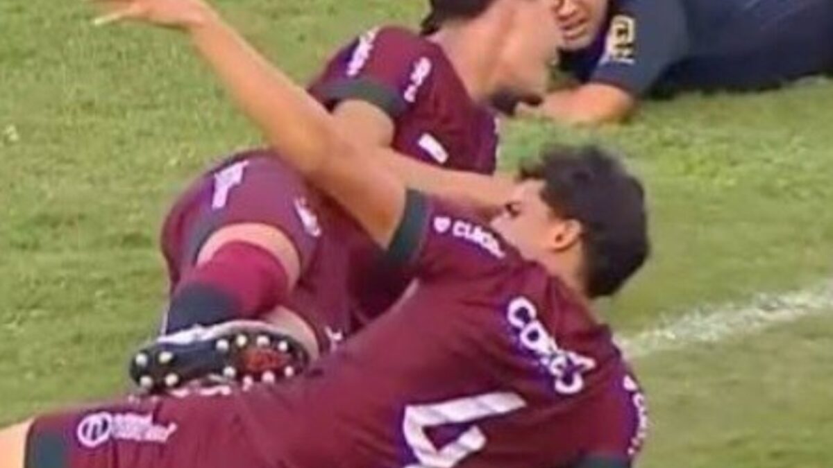 Abejas invadieron el campo y detuvieron una final de fútbol en Bahía