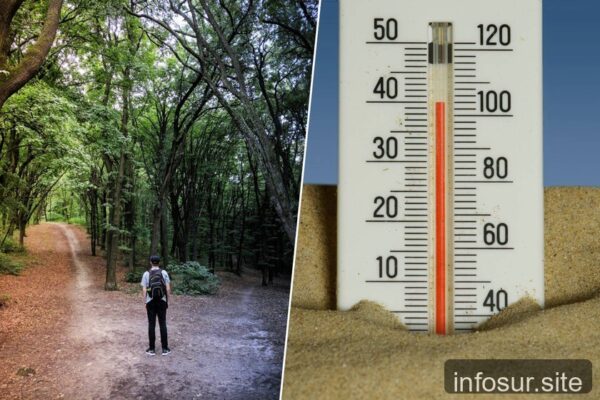 Calor intenso empeora decisiones clave, según análisis científico