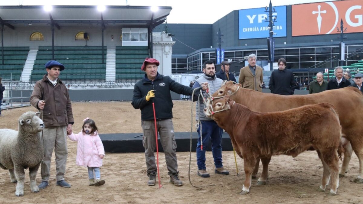 La vaca Tini Tini y el carnero Tim Payne abren la Exposición Rural en Palermo