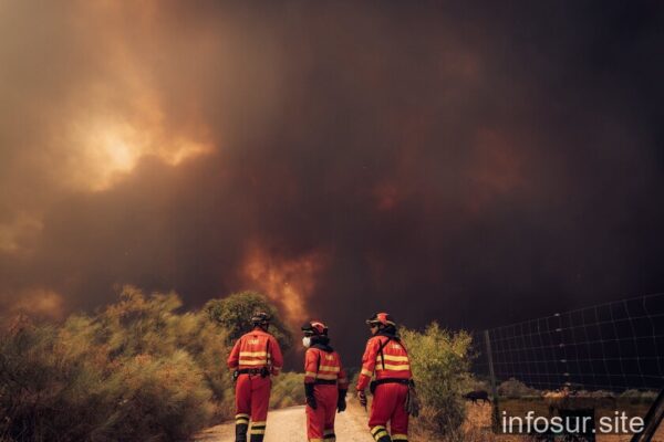 Ávila supera incendio de 2025: nuevo récord en España