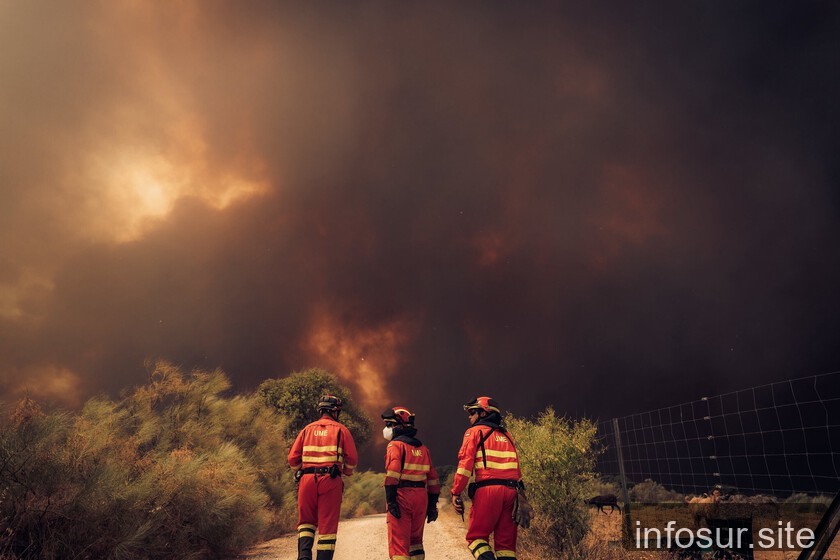 Ávila supera incendio de 2025: nuevo récord en España