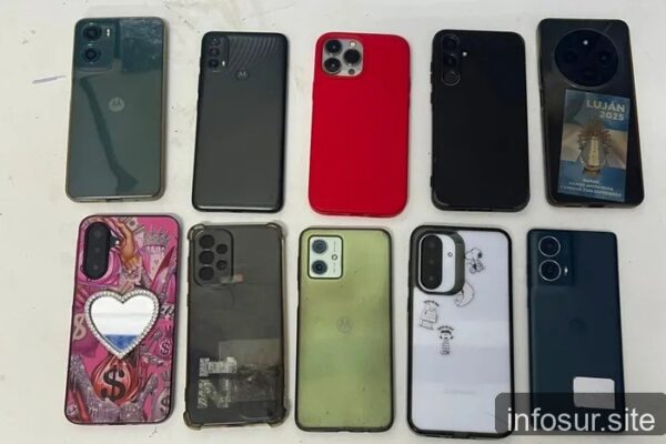 Cayó un "punga" en la estación de Lomas: le secuestraron 10 celulares en la mochila