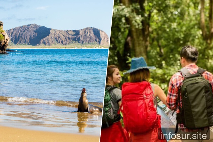Airbnb transforma el turismo en un destino natural en riesgo.