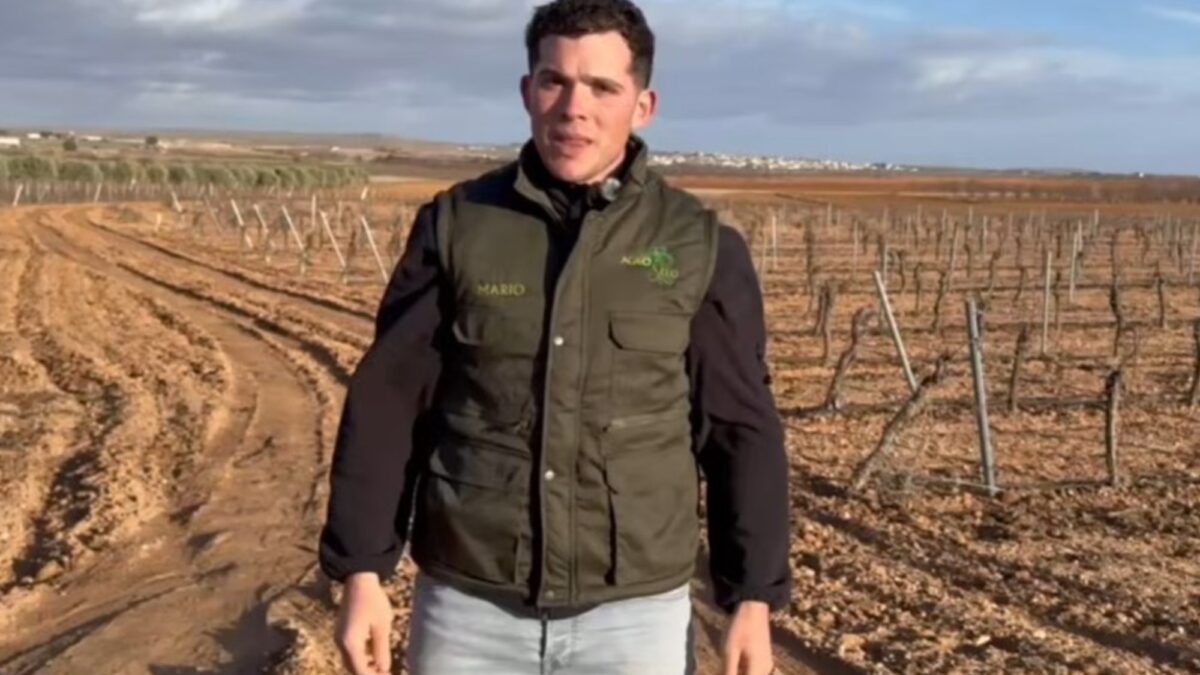 Joven agricultor español gana 70 euros diarios pero no halla jóvenes dispuestos a trabajar en el campo