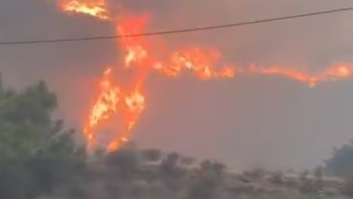 Incendio forestal en Almería: 12 fallecidos y evacuación de comunidades
