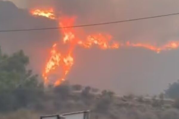 Incendio forestal en Almería: 12 fallecidos y evacuación de comunidades
