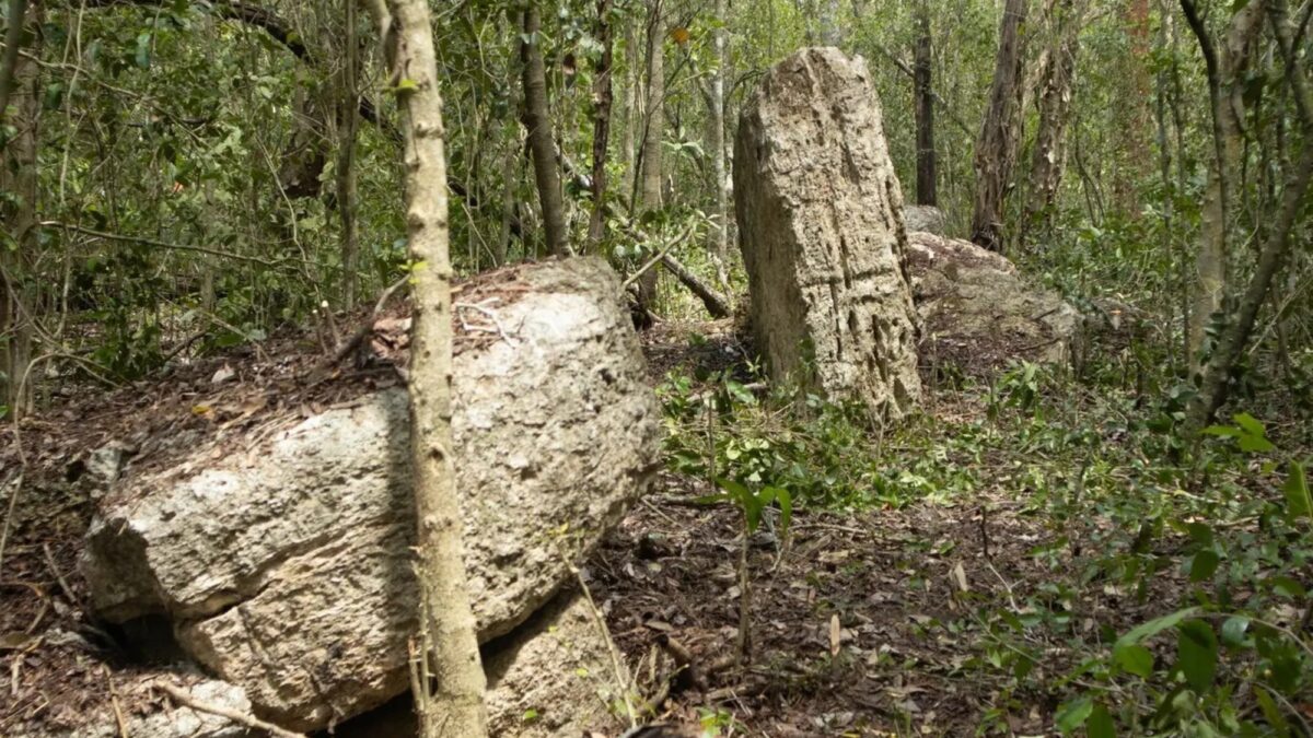 Arqueólogos descubren ruinas mayas en Yucatán, olvidadas por siglos