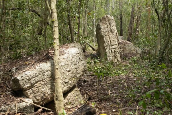 Arqueólogos descubren ruinas mayas en Yucatán, olvidadas por siglos