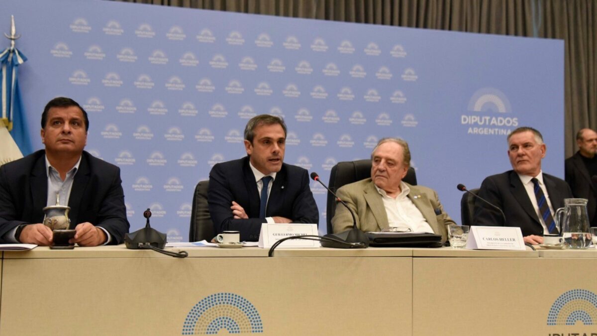 15 proyectos y una denuncia penal abordan el escenario de las islas en Diputados