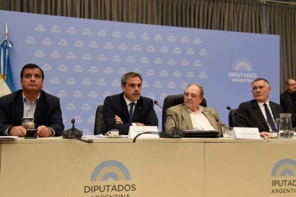 15 proyectos y una denuncia penal abordan el escenario de las islas en Diputados