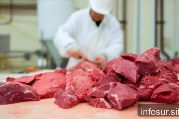 Consumo de carne vacuna cae 11,5% en primer semestre