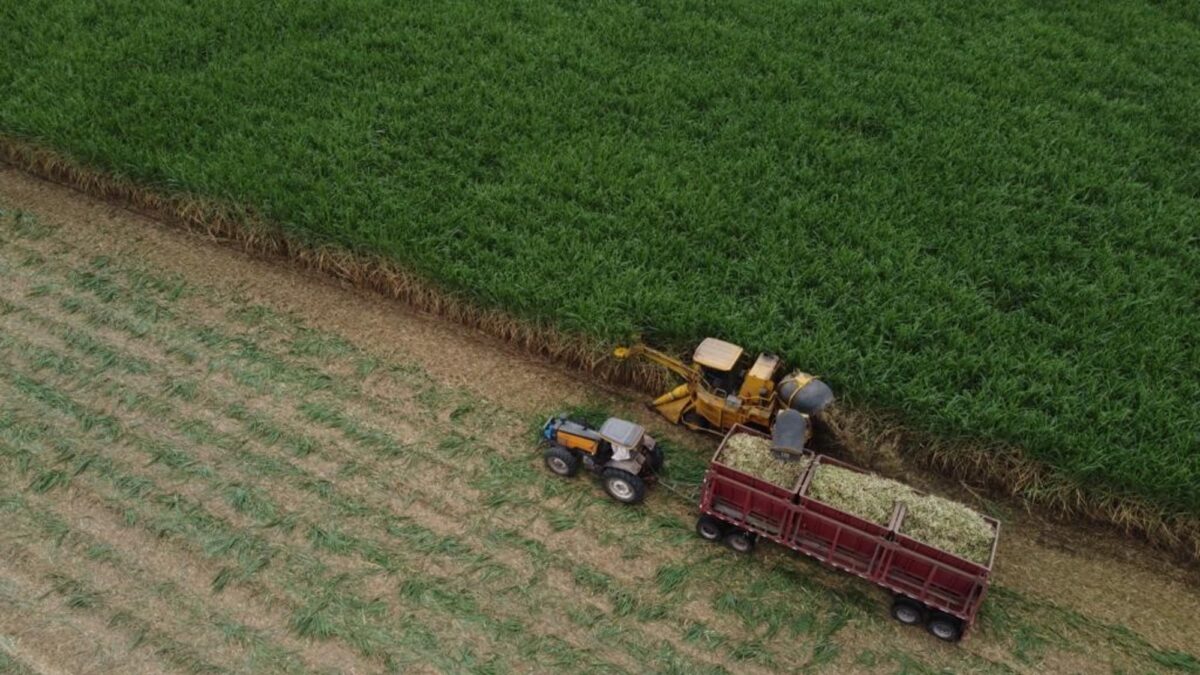 Empresarios del norte denuncian gas 9 veces más caro y peligra la zafra