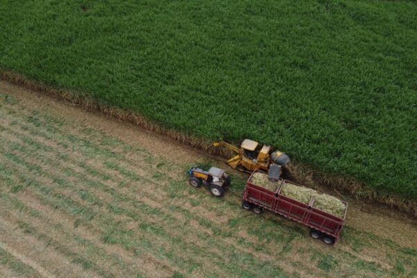 Empresarios del norte denuncian gas 9 veces más caro y peligra la zafra