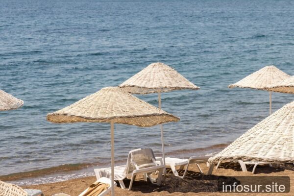 La sombra de la playa es una trampa: estudio explica por qué