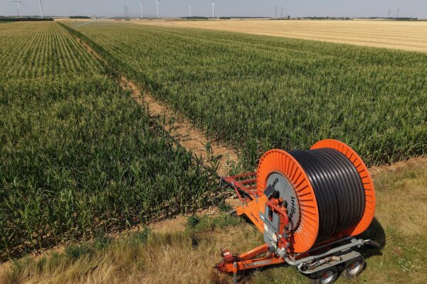 Mercosur ve oportunidad tras crisis cerealera europea