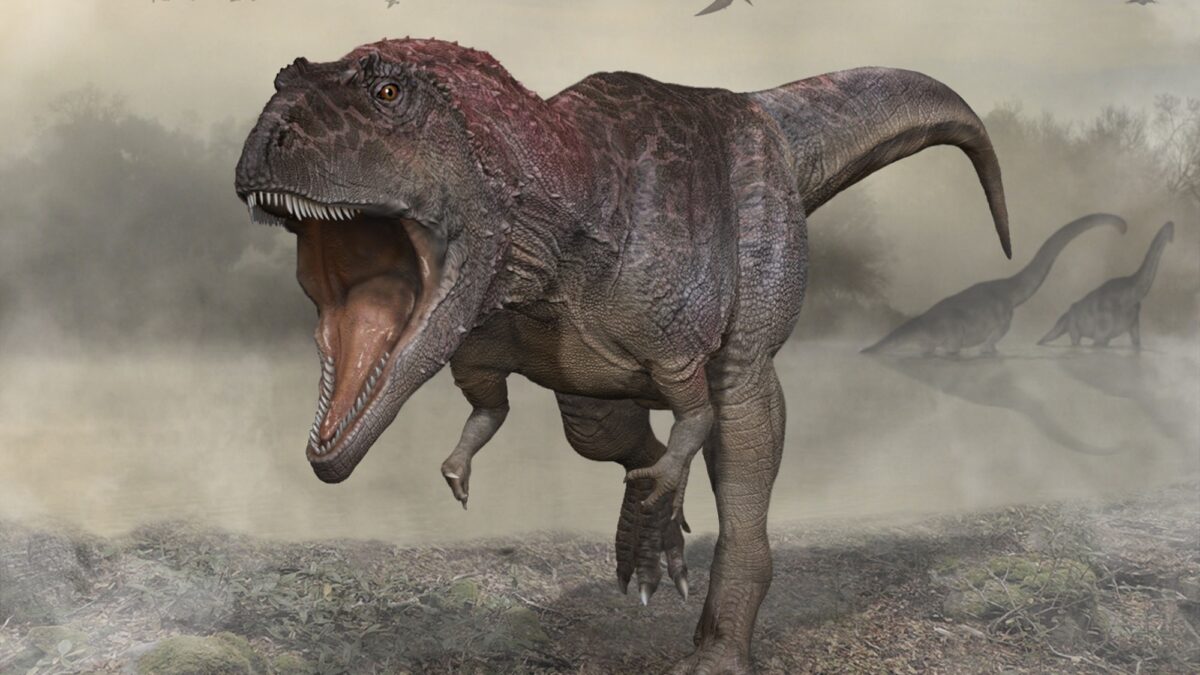 Crías de tiranosaurio eran del tamaño de un gato y nacían por docenas