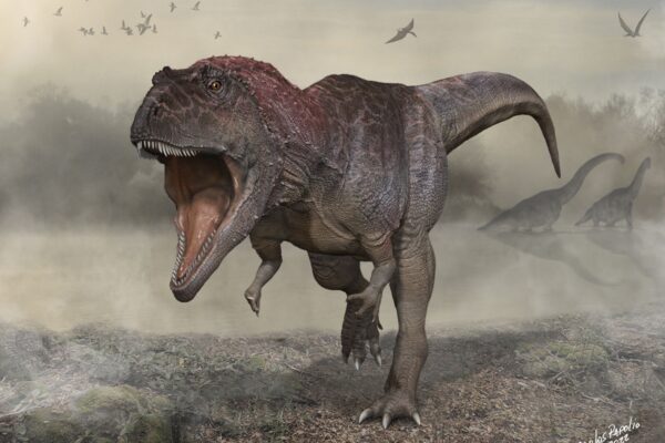 Crías de tiranosaurio eran del tamaño de un gato y nacían por docenas
