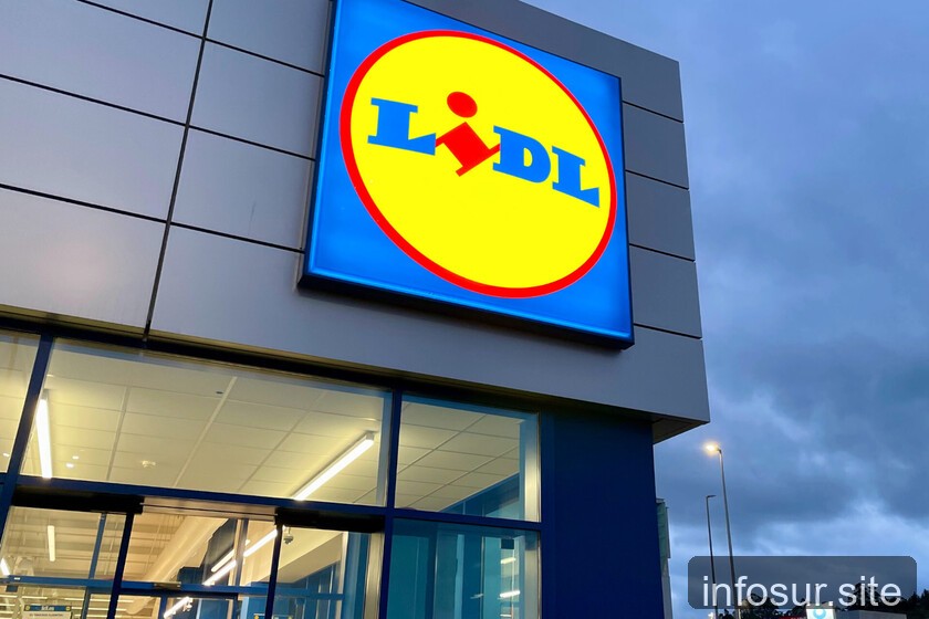 Climatizador de Lidl agotado: alternativa más económica en Amazon