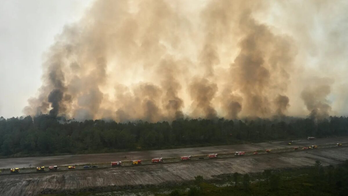 Despoblamiento del campo no da solución sencilla a incendios en Europa