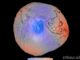 NASA revela forma de la Tierra tal como la define la gravedad