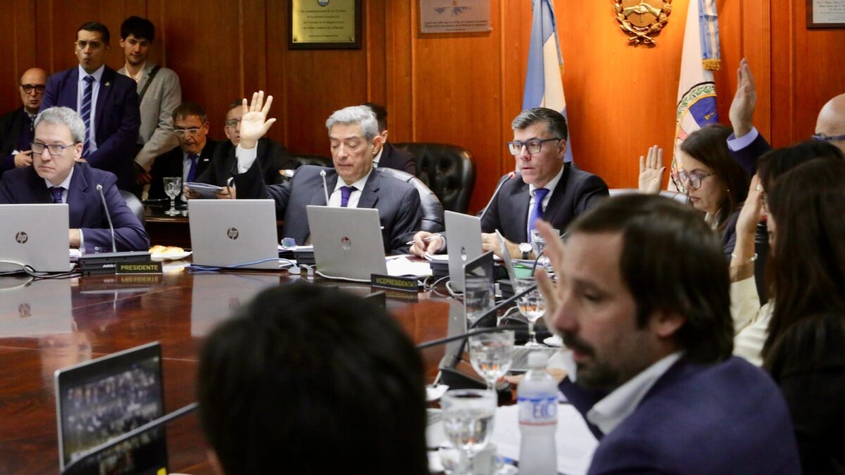 Piden rechazar la reelección de un juez en el Consejo de la Magistratura y cuestionan normas de alternancia