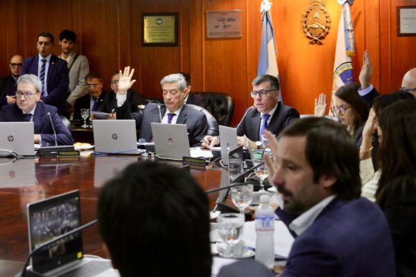 Piden rechazar la reelección de un juez en el Consejo de la Magistratura y cuestionan normas de alternancia